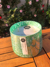 Load image into Gallery viewer, Bella & Toby OMG!