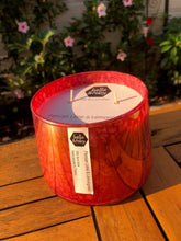 Load image into Gallery viewer, Bella & Toby OMG!