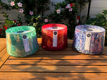 Load image into Gallery viewer, Bella & Toby OMG!